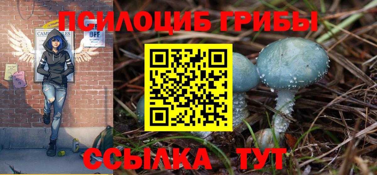Галлюциногенные грибы мицелий  Псилоцибиновые грибы прущие грибы  Вход с VPN  Знаменск 