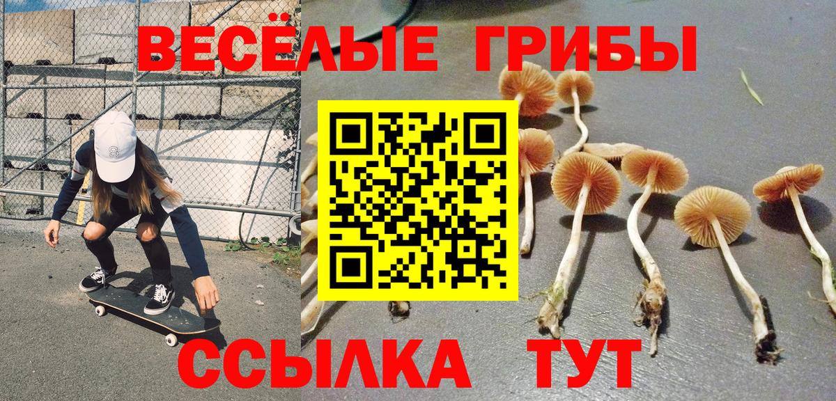 Галлюциногенные грибы мицелий Знаменск